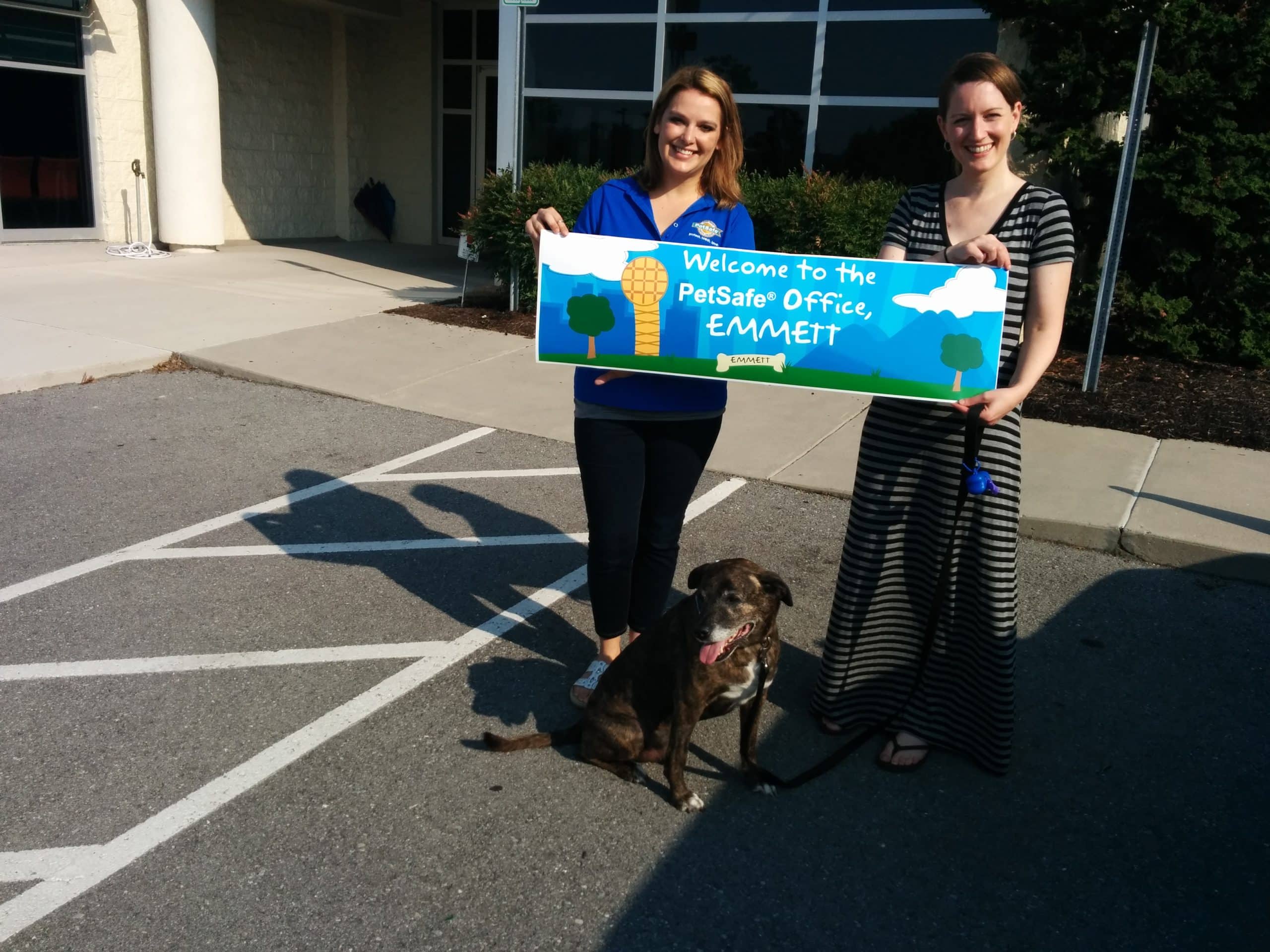 PetSafe welcomed Emmett