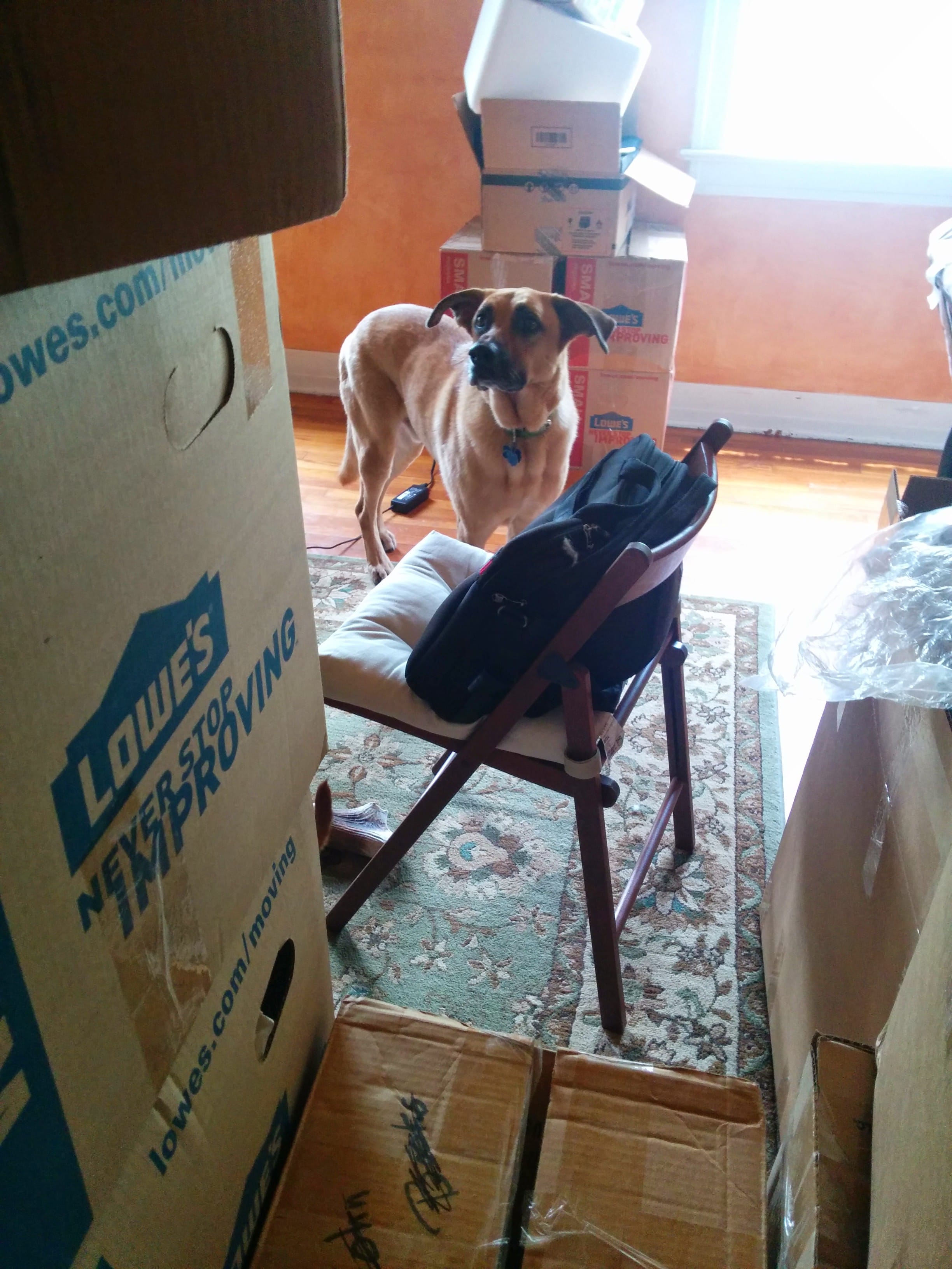 Packing... blergh