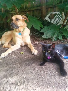 Lucas and Newt