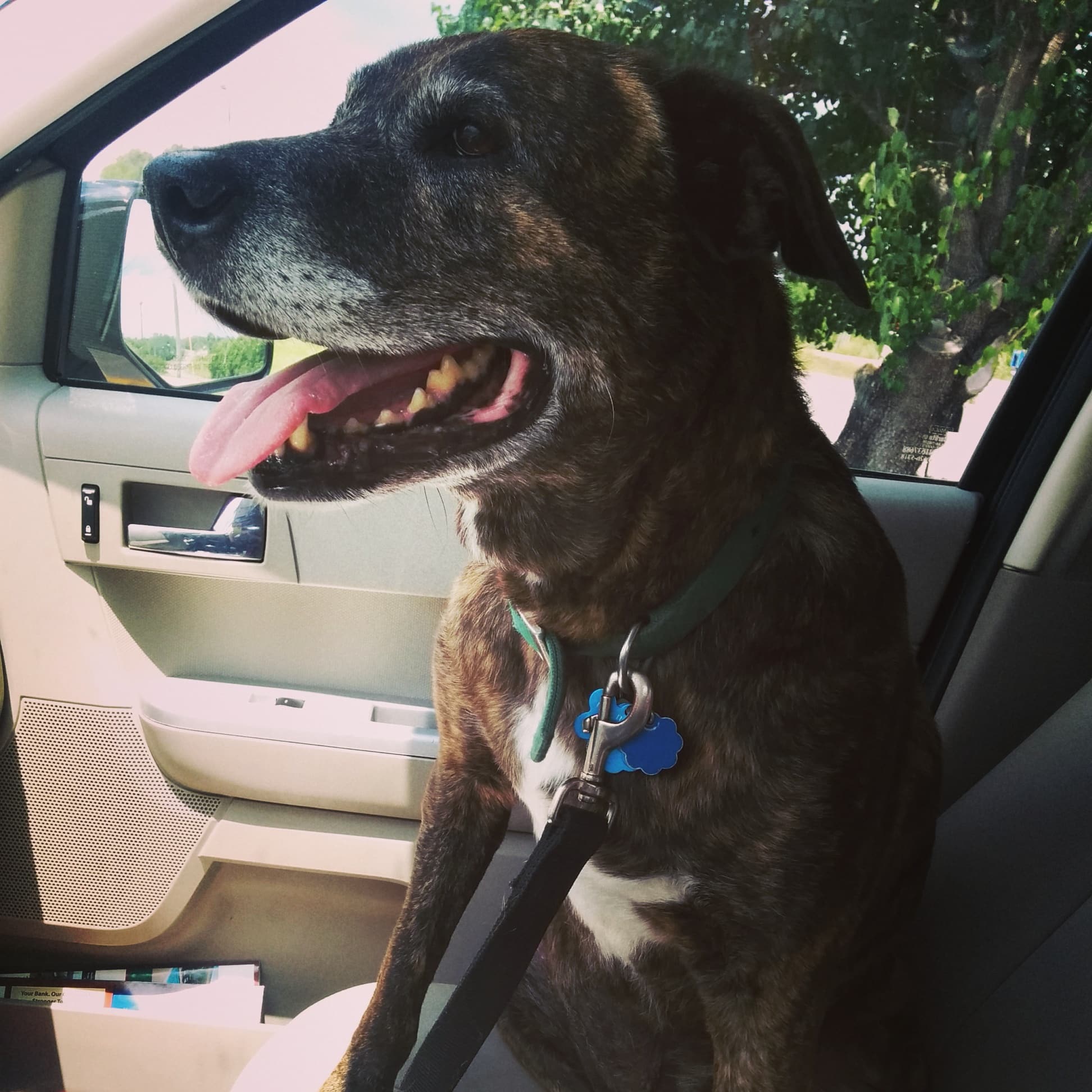 Emmett enjoyed his road trip