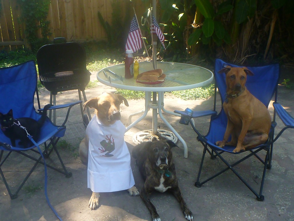 Happy Fourth from OMD!
