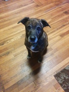 Emmett's baby face