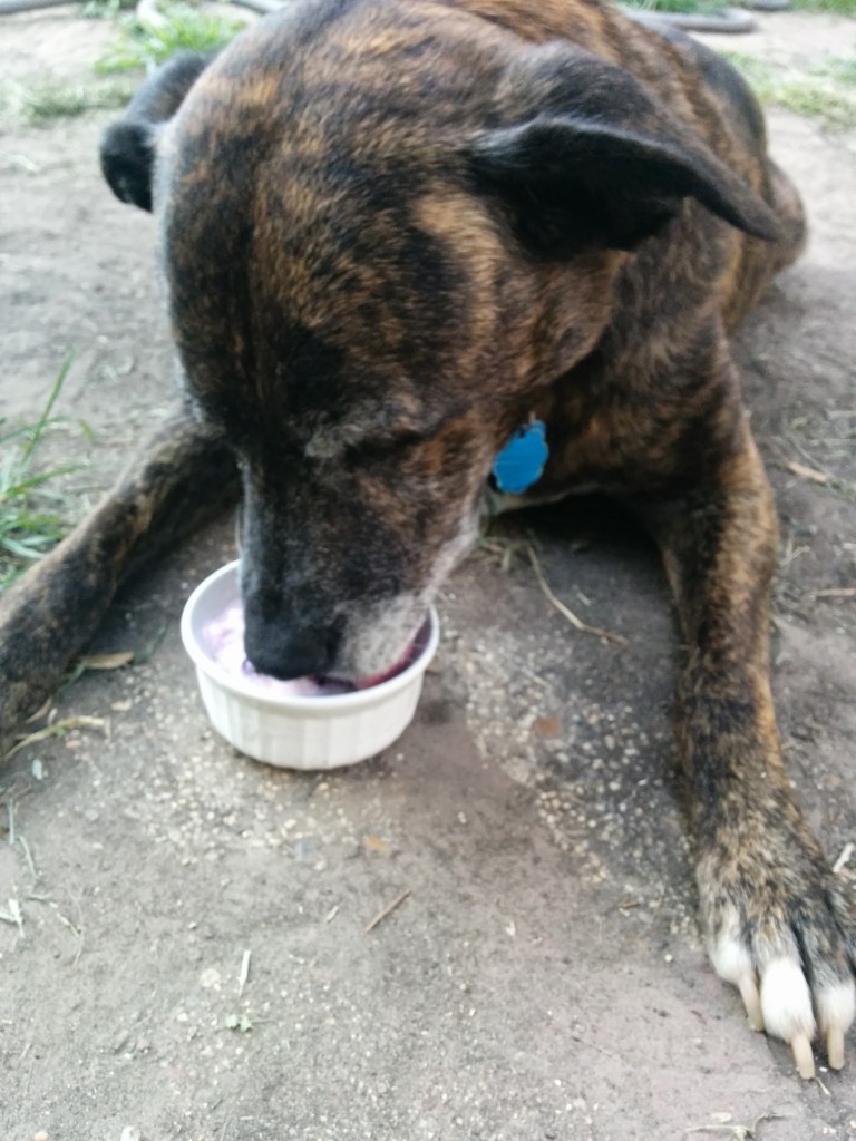 Emmett's Bucket List Top 10: Status Update