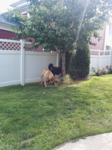 Lucas and Cady off doing their thing!