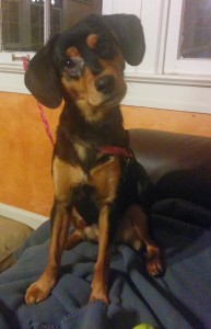 Molly has an epic twisty-head
