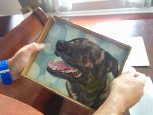 His portrait is gorgeous!