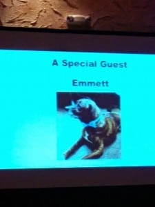 PetSafe gala to fight canine cancer