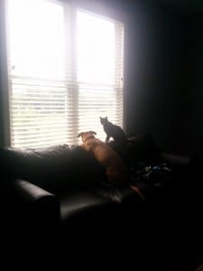 Cooper and Newt watch the construction