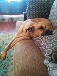 Lucas lounging