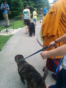Emmett walks with the monk