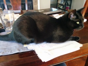 Lounging on my work