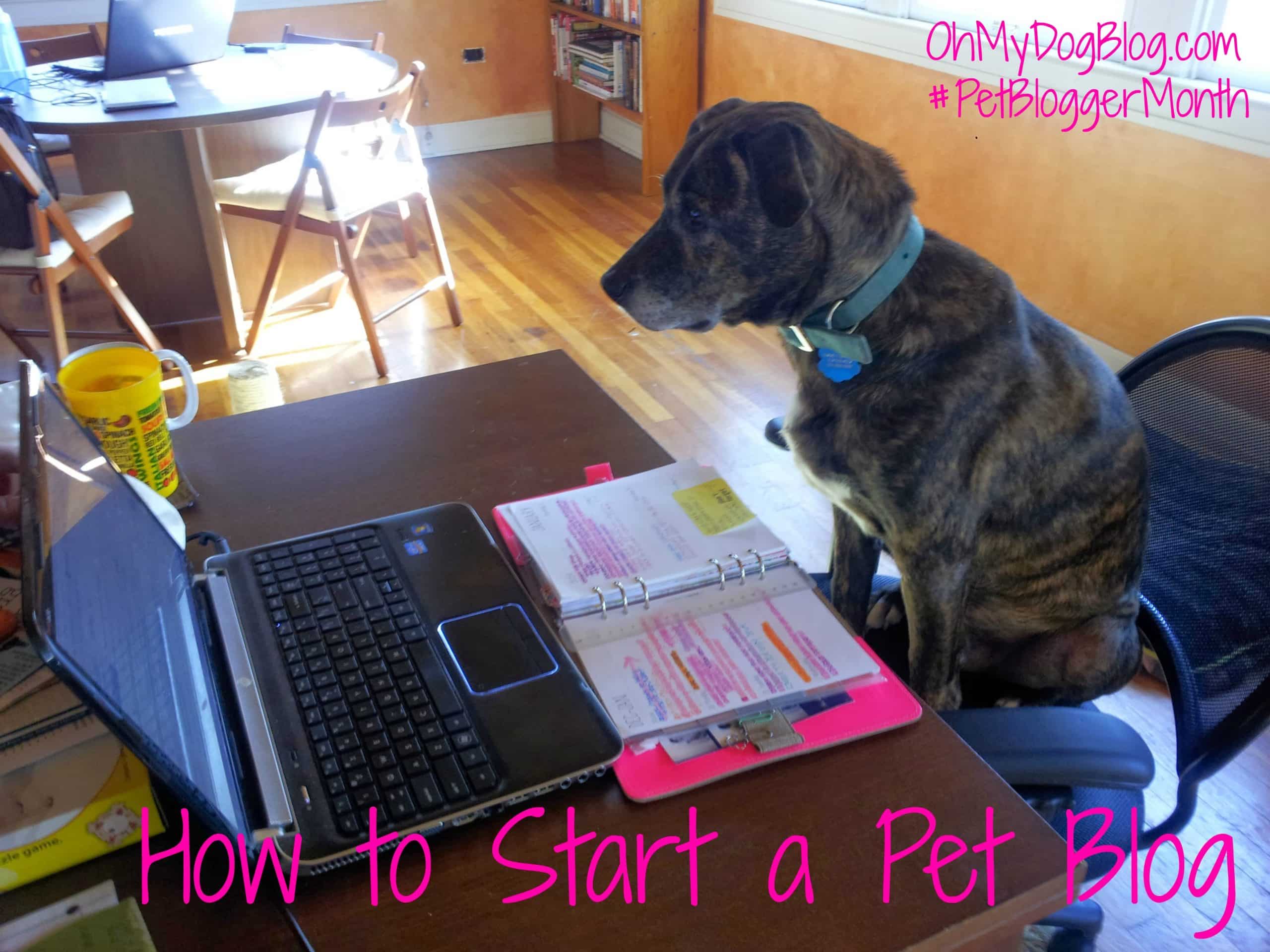 how to start a pet blog