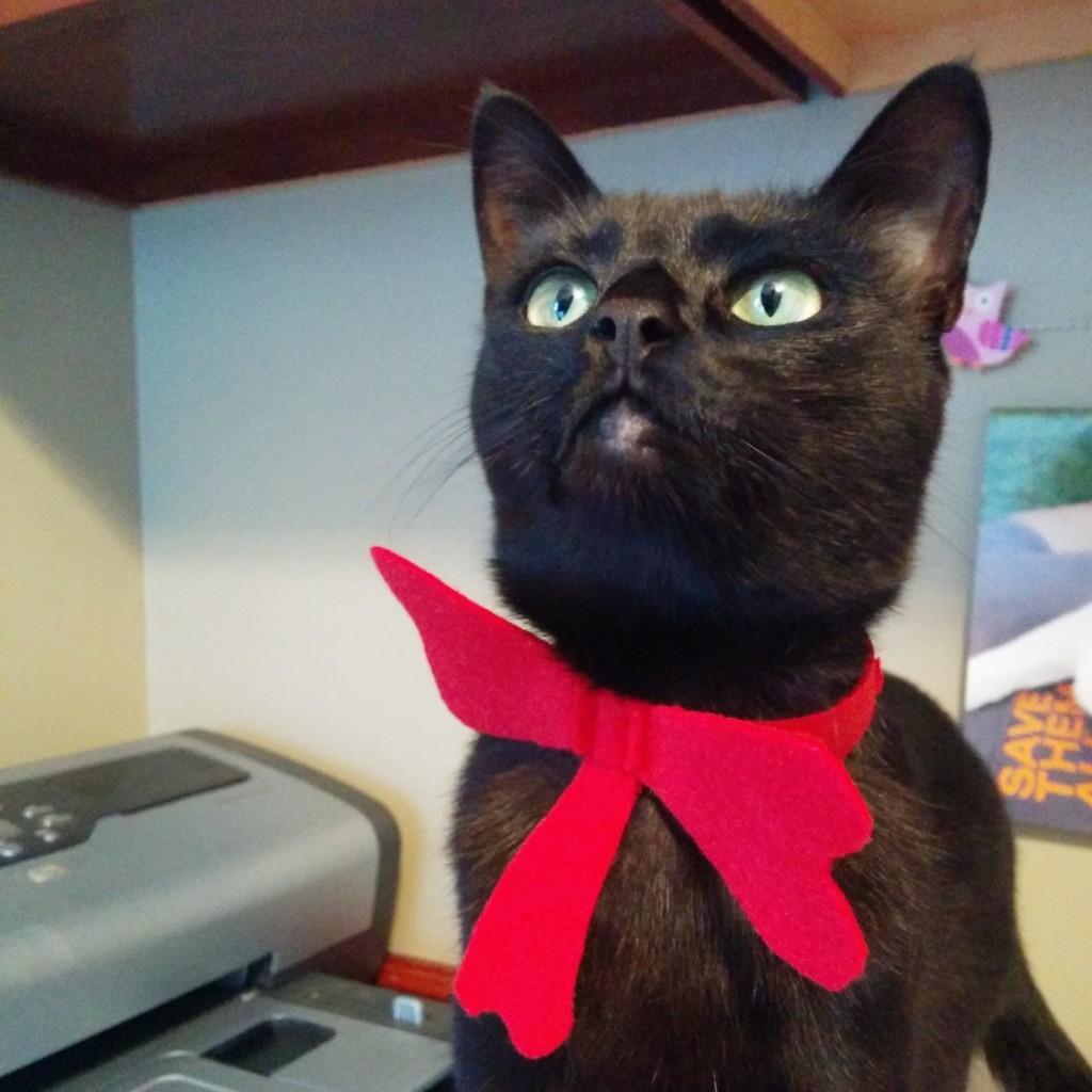 Newt in the bow tie