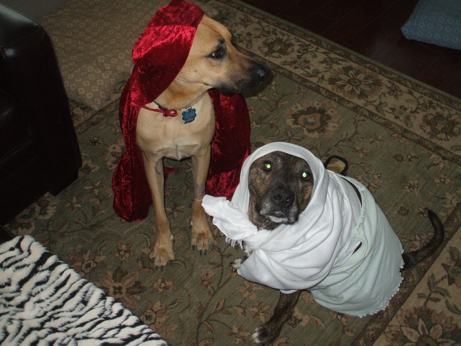 Halloween 2008
