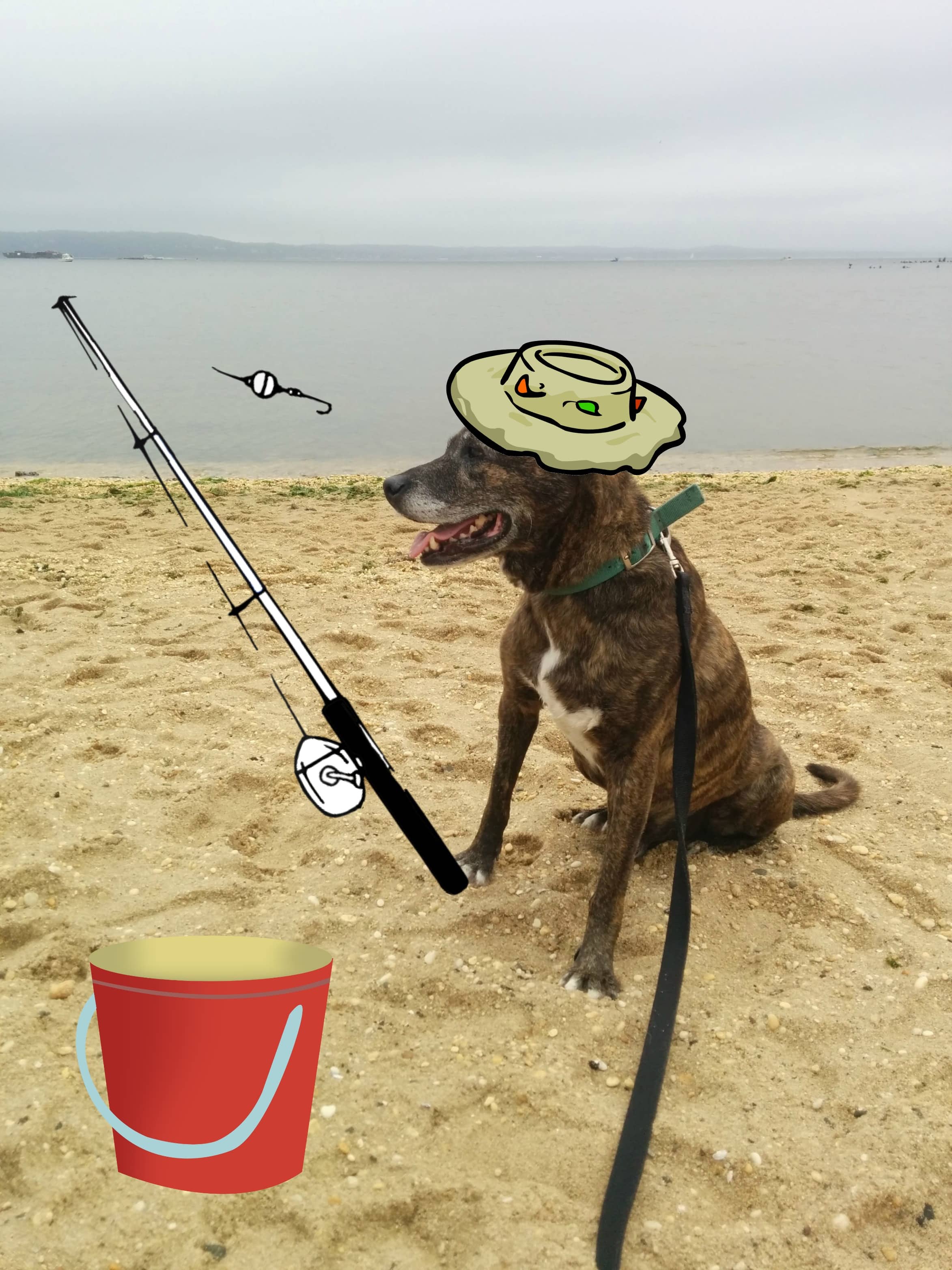 Gone fishing