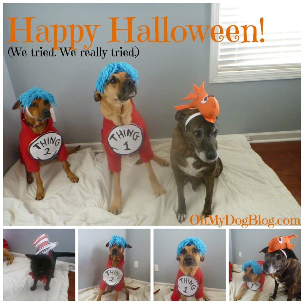 Halloween 2014