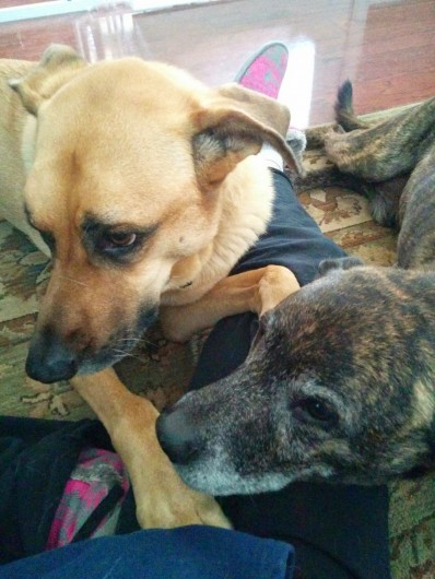 Lucas and Emmett squish my legs