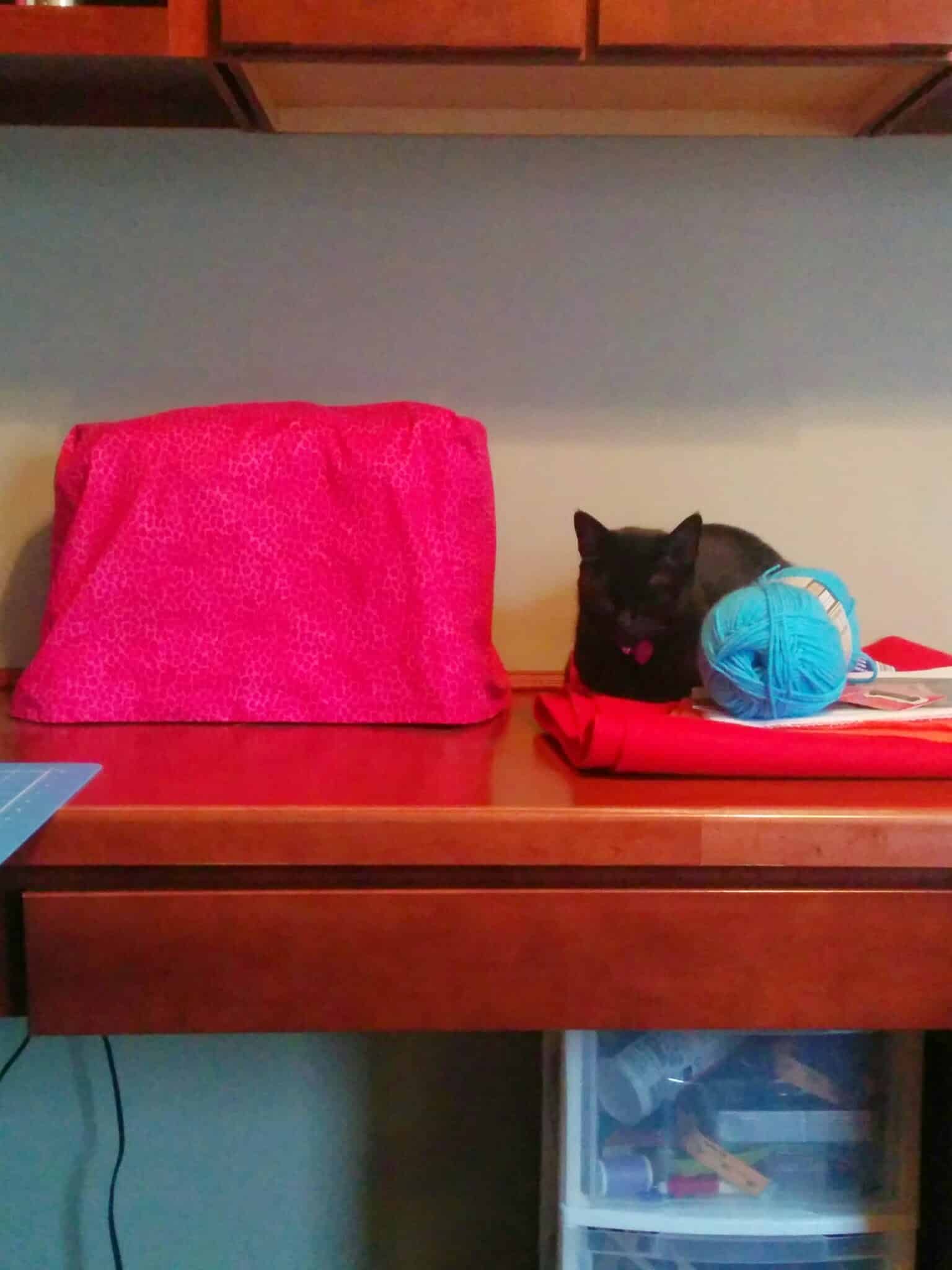 Newt watches me prepare to sew