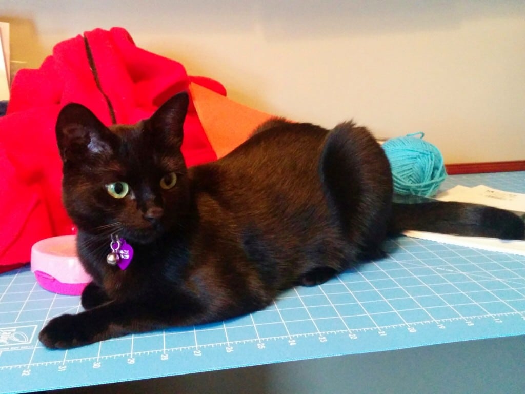 Newt supervises Halloween costume creation