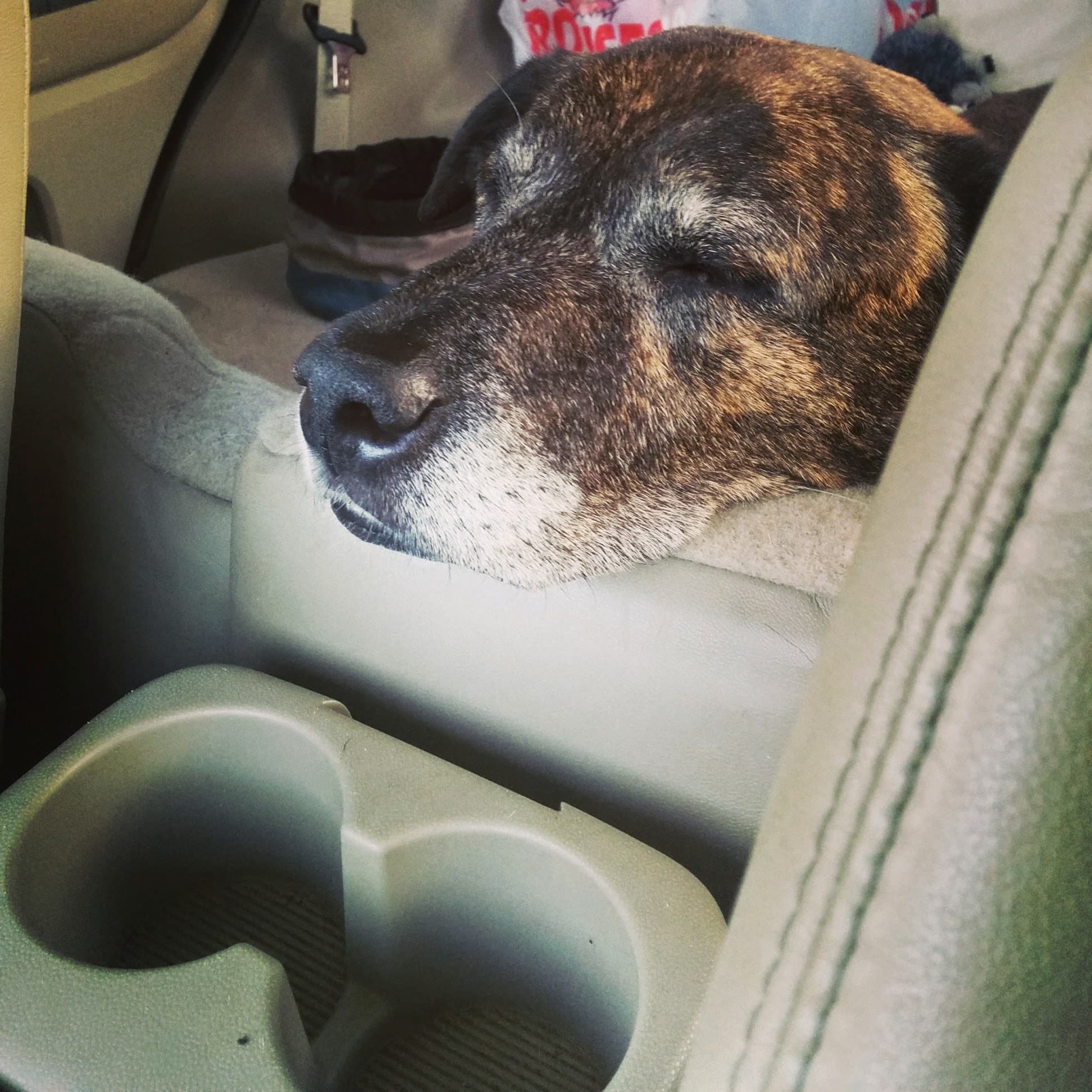 Emmett sleeps in the car