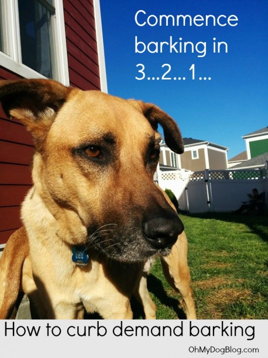 How to curb demand barking