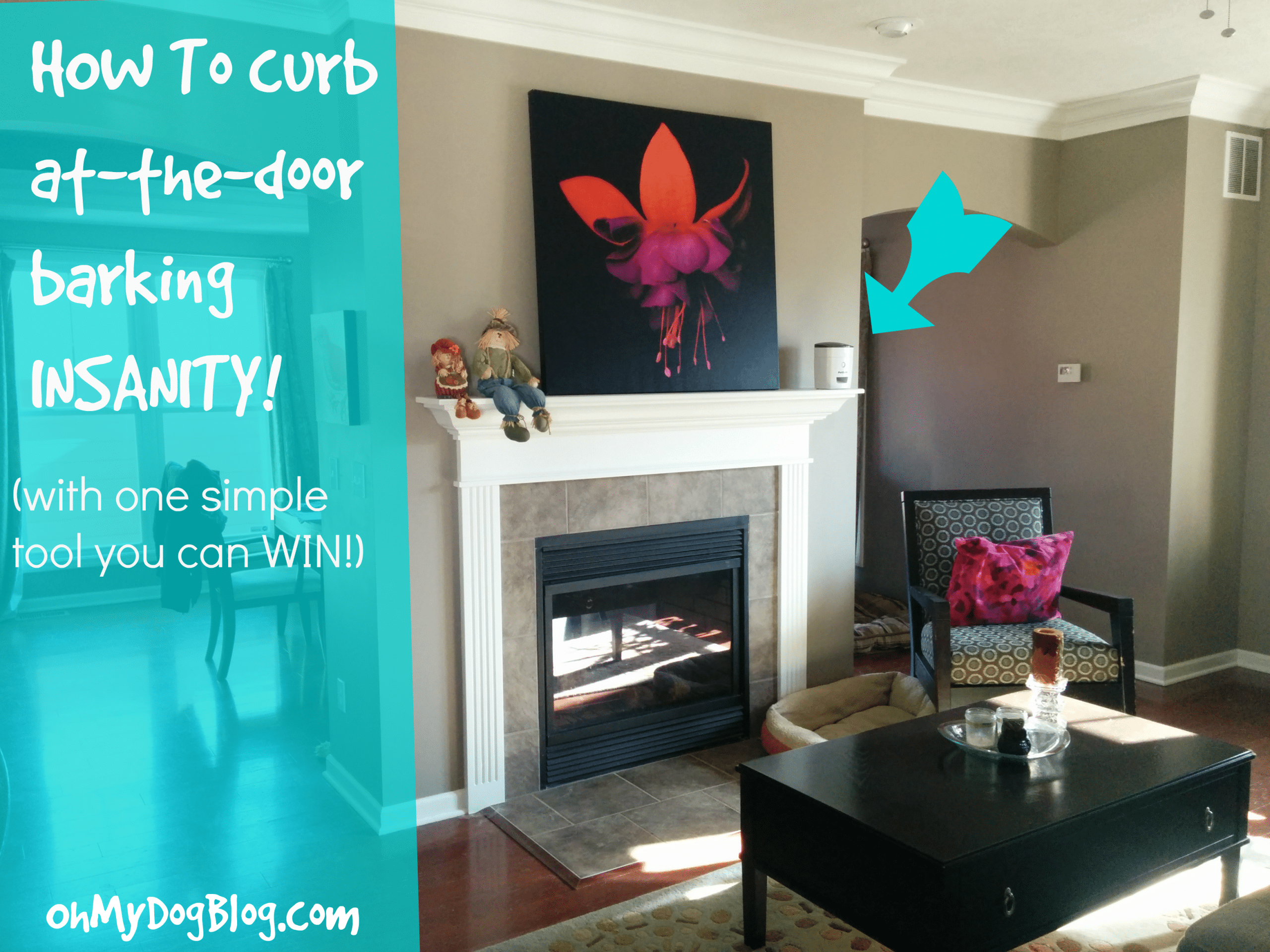 How to solve barking at the front door (with giveaway!)