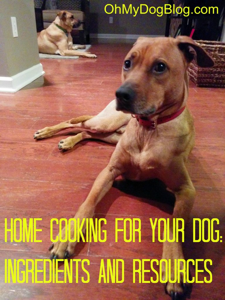 Home cooking for your dog: Ingredients and resources