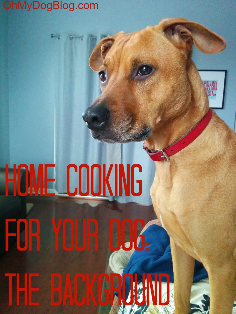 Home cooking for your dog