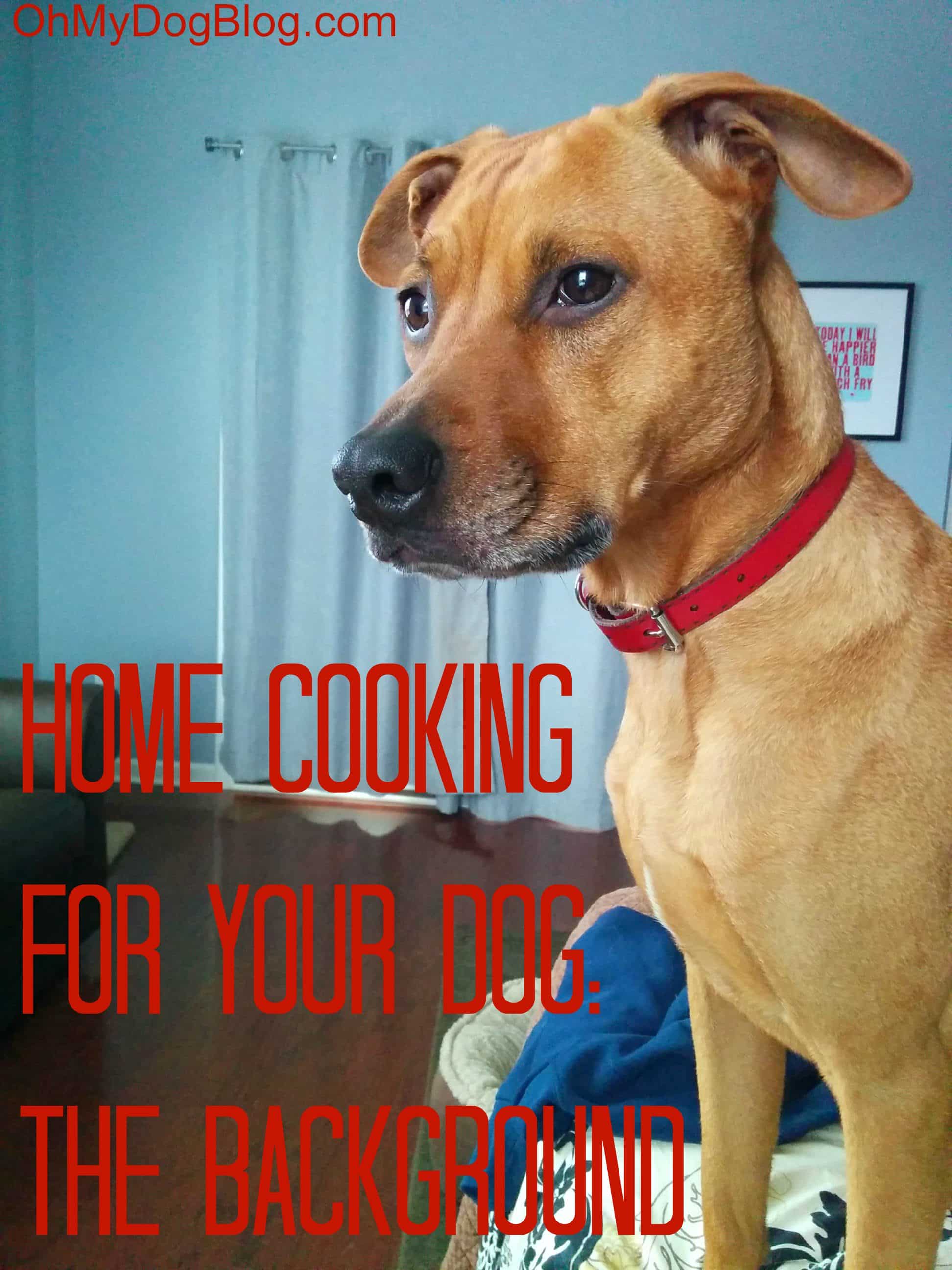 Home cooking for your dog