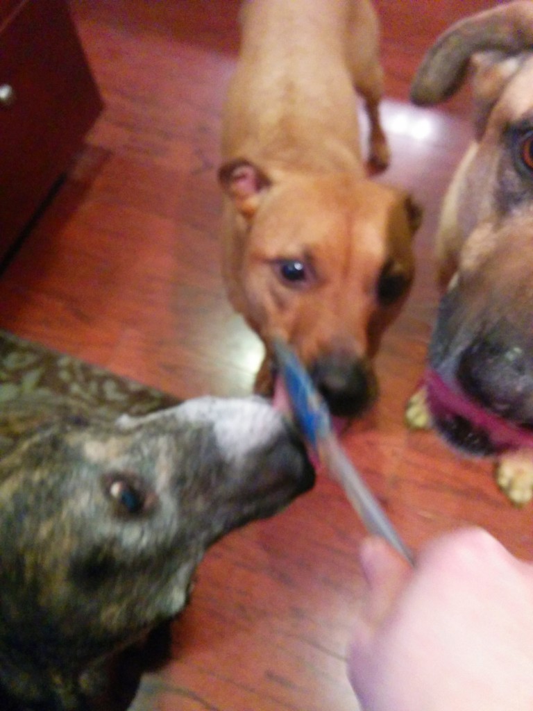 Yum!