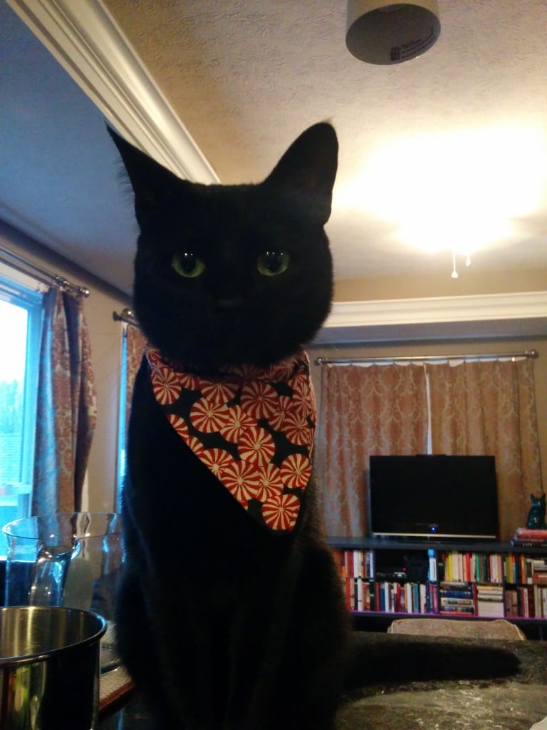 Newt's bandanna