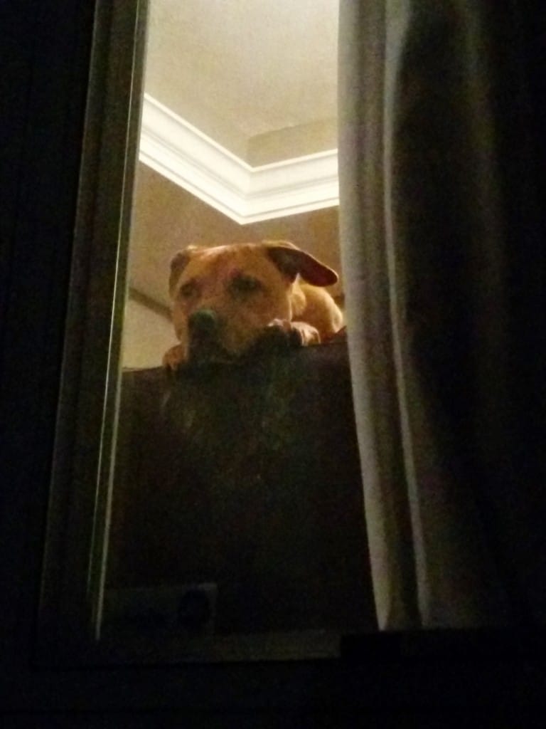 I'm watching you...