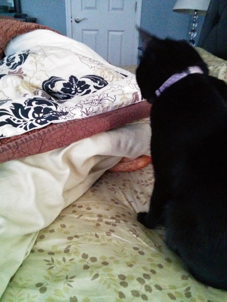 See! There's something there!
