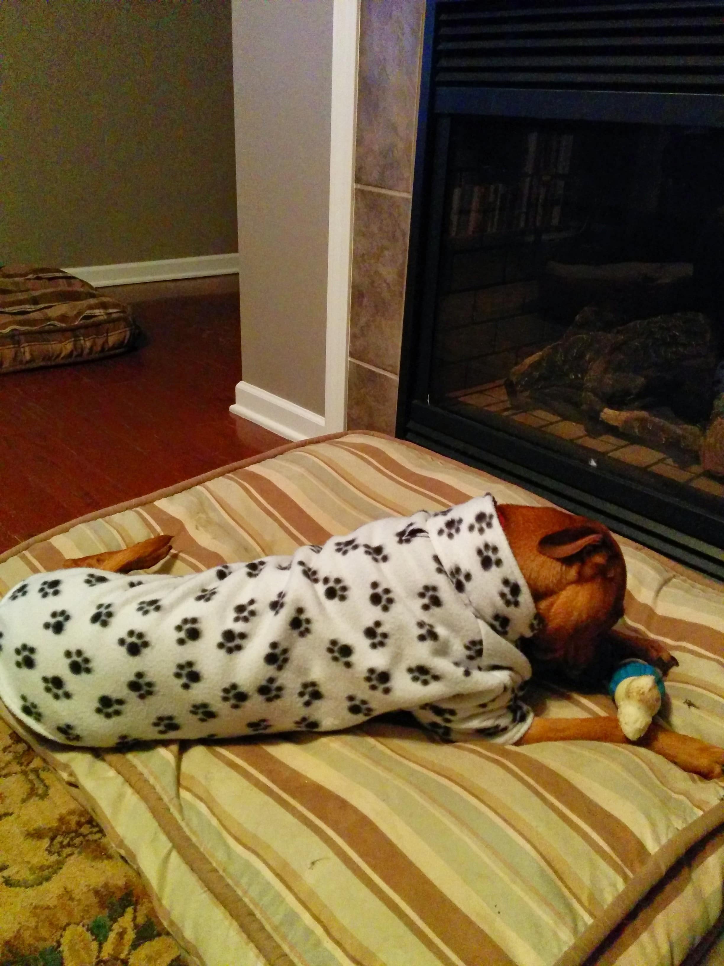 Cooper in his coat