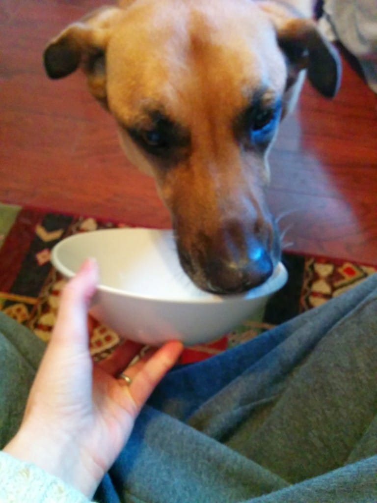 Lucas cleans my bowl