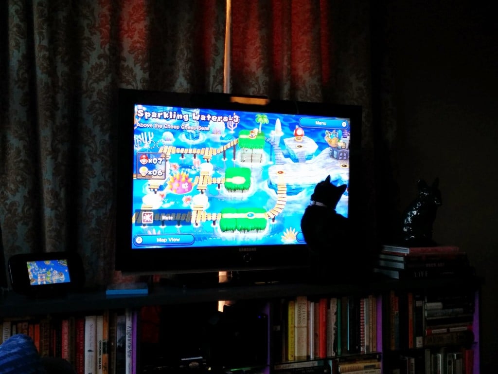 Newt likes Nintendo