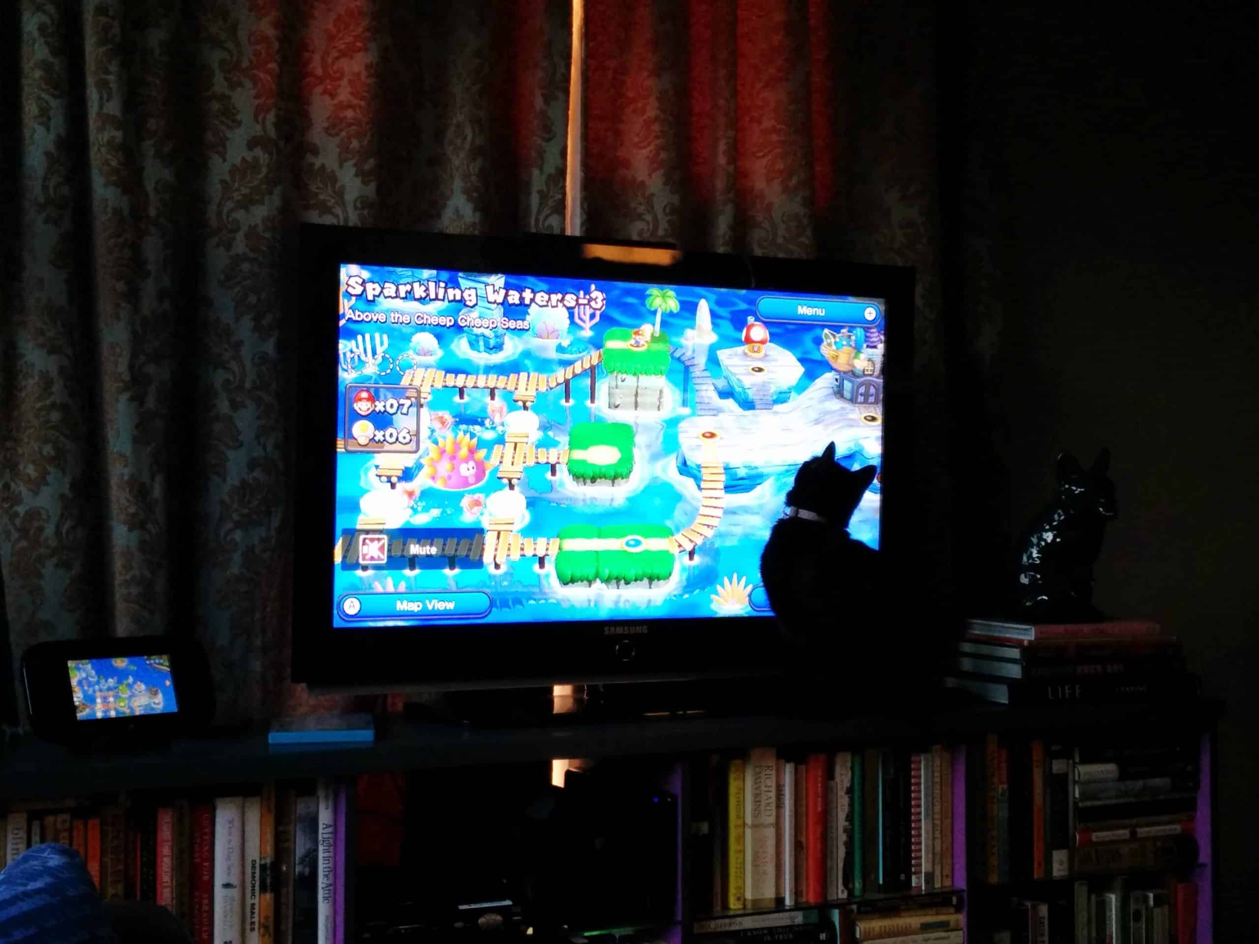 Newt likes Nintendo