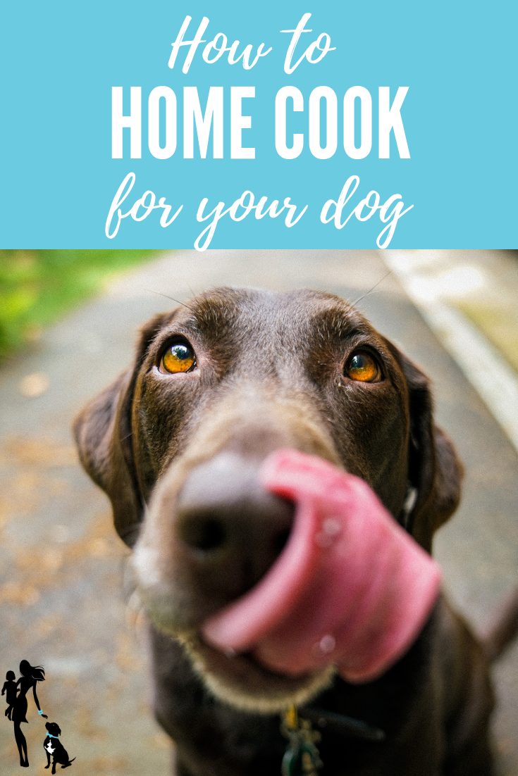 Home cooking for your dog: FAQs