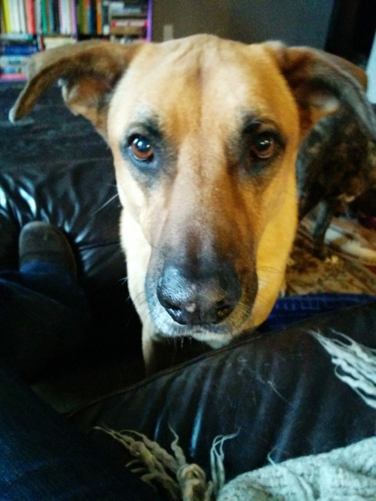 Lucas is so handsome