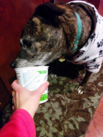Emmett cleans the yogurt container