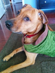 Green jacket