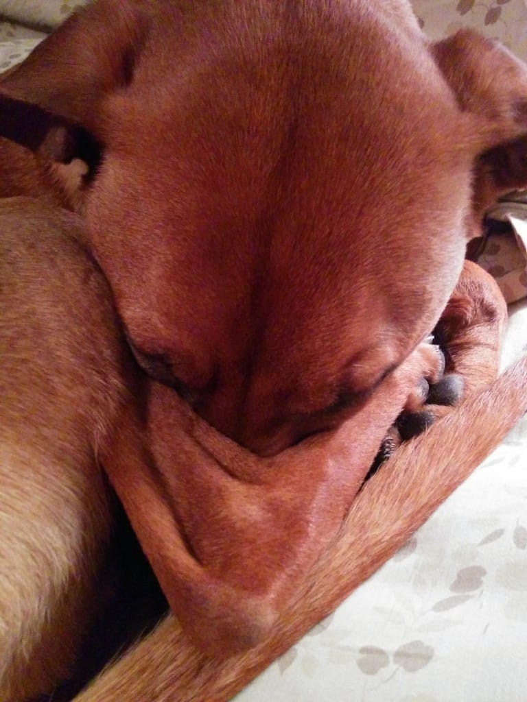 Savasana