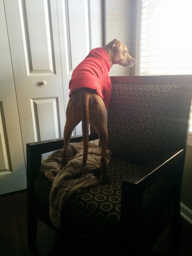 Worrier 1