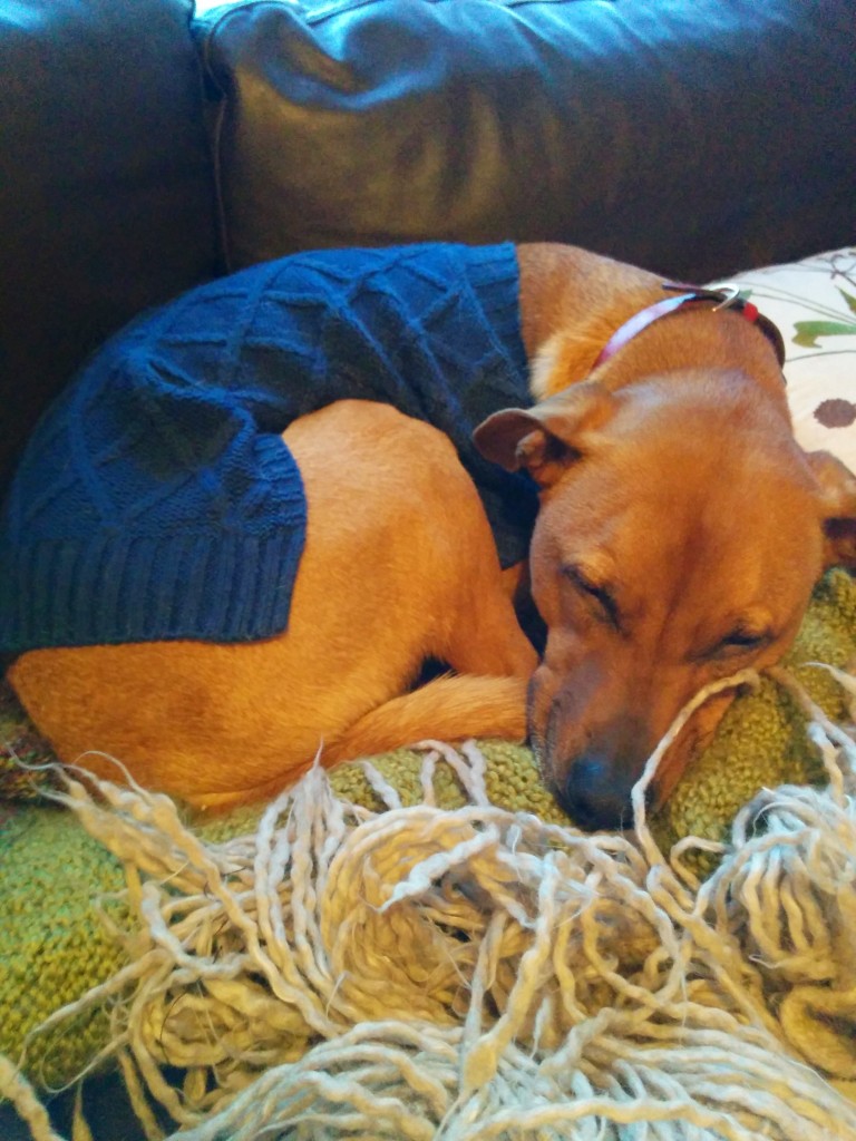 Cooper in his cable-knit sweater