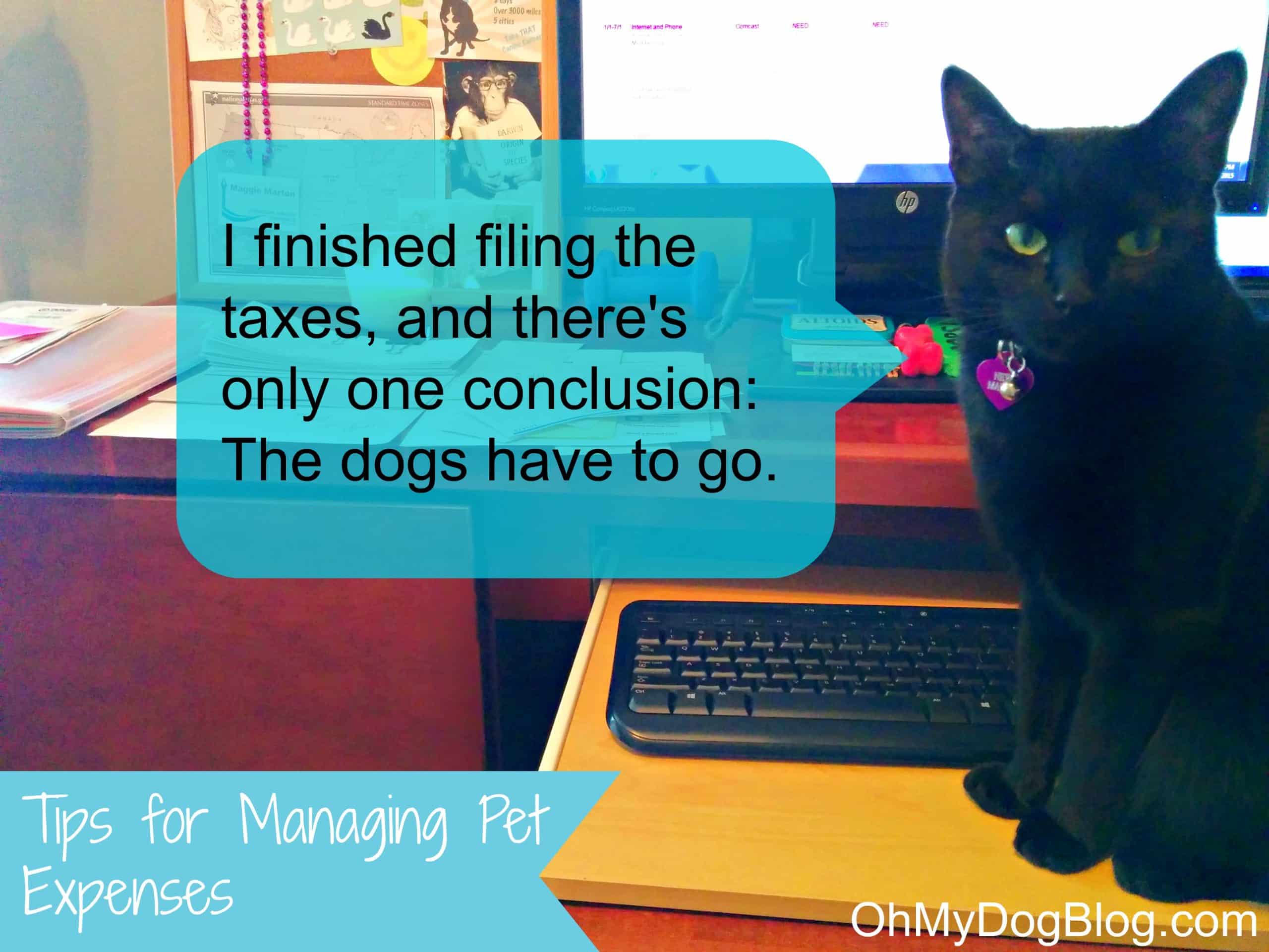 Tips for Managing Pet Expenses