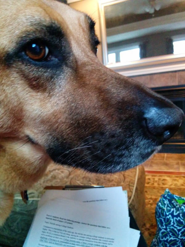 You don't need to see those papers to grade them, right?