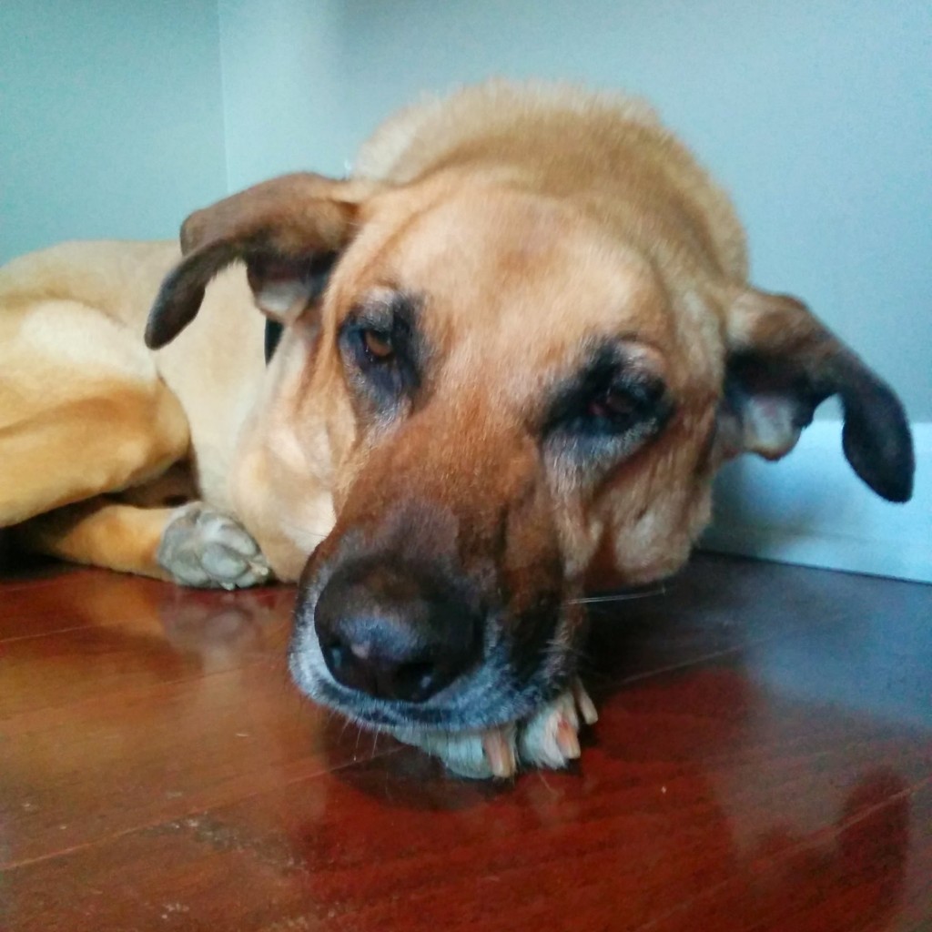 My handsome boy