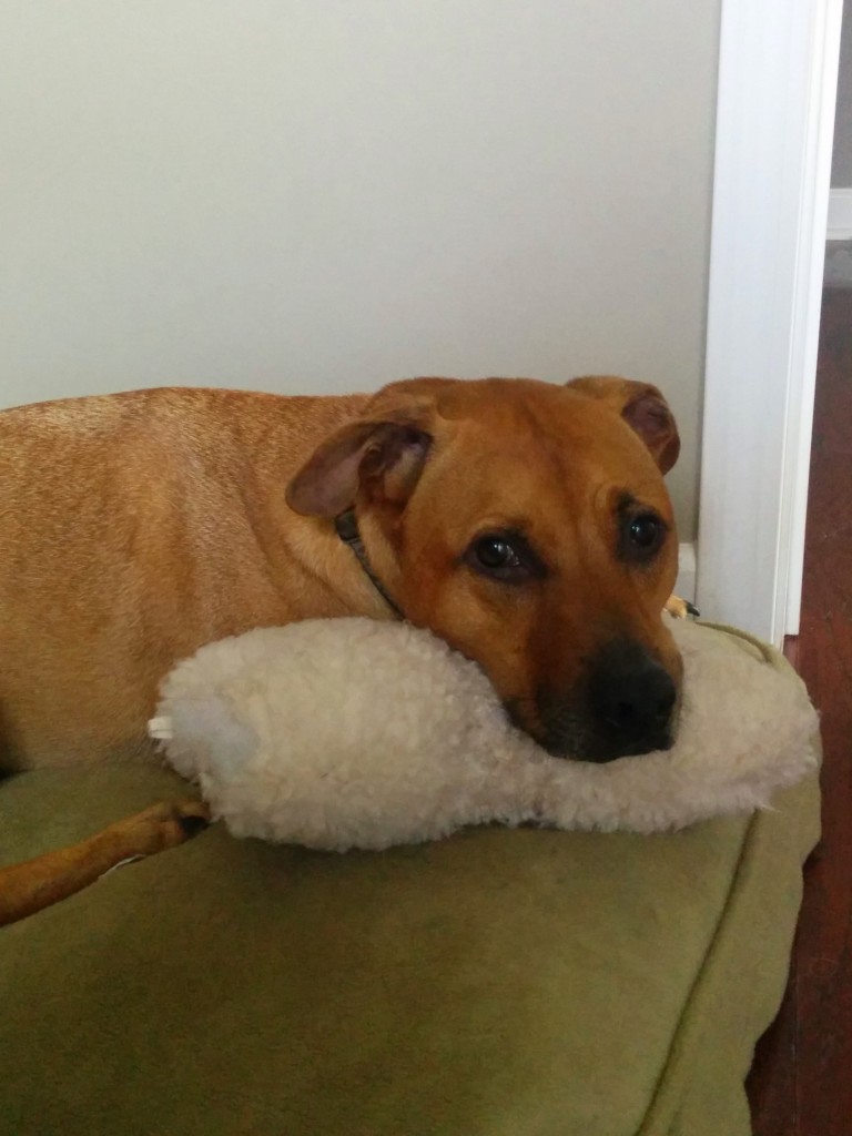 Cooper is for hire