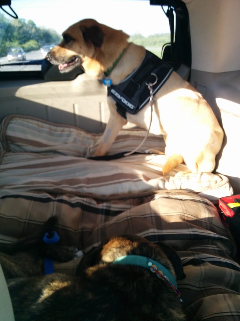 Driving to Purdue