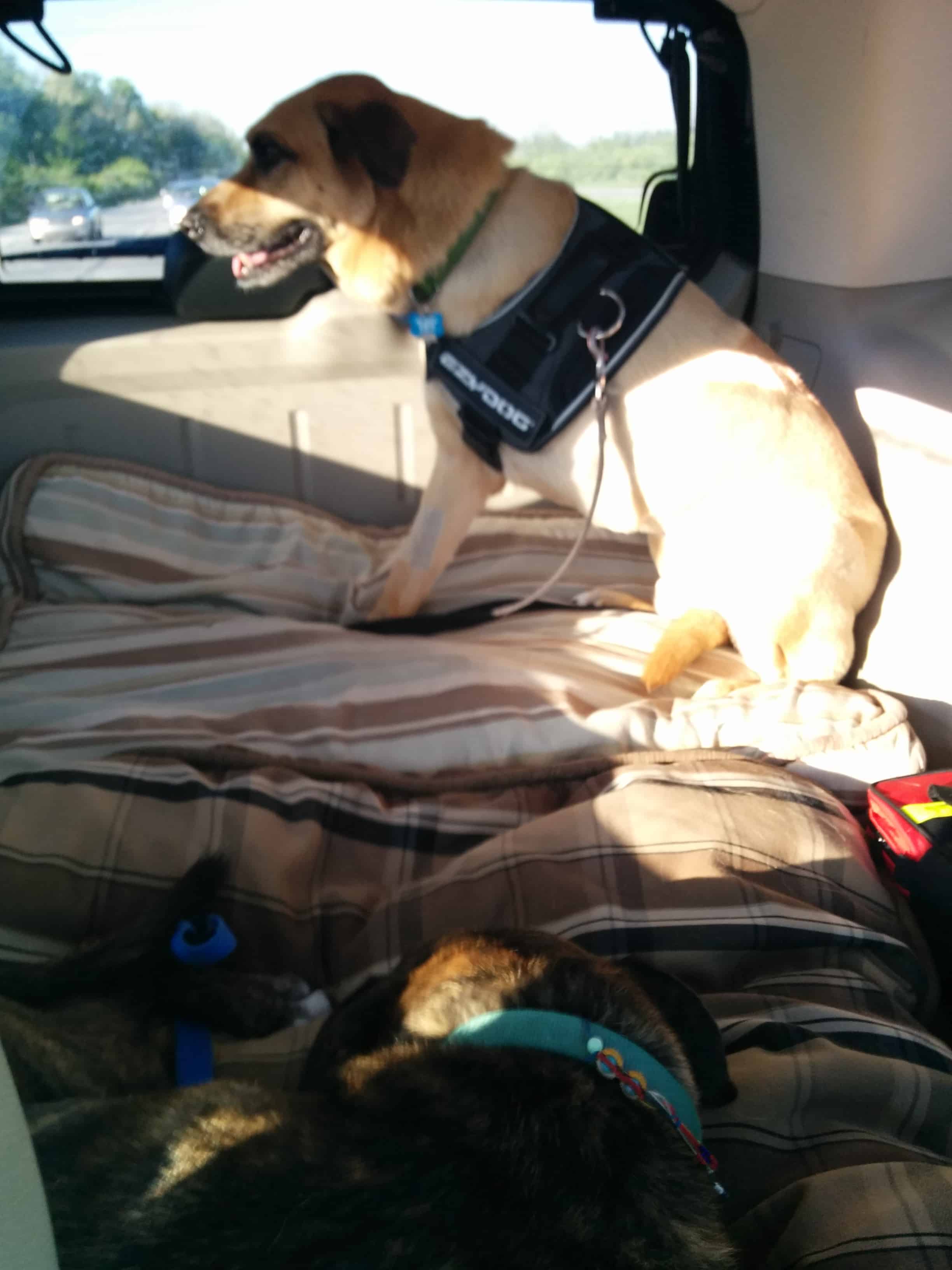 Driving to Purdue